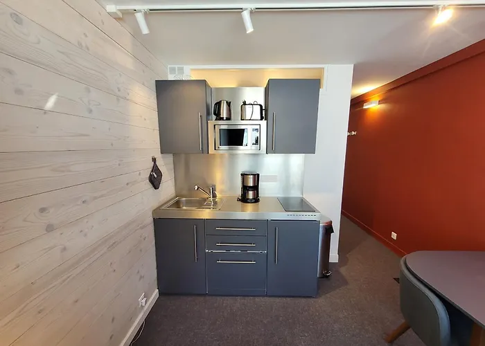 Renove Skis Aux Pieds - 4 Pers - Animaux Admis - Fr-1-181-2613 Daire La Plagne